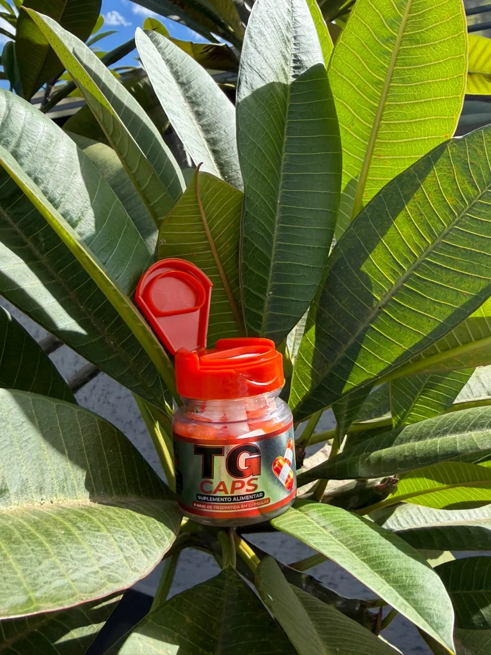 Frasco original TG Caps com tampa vermelha entre folhas
